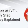 5 stages of ivf