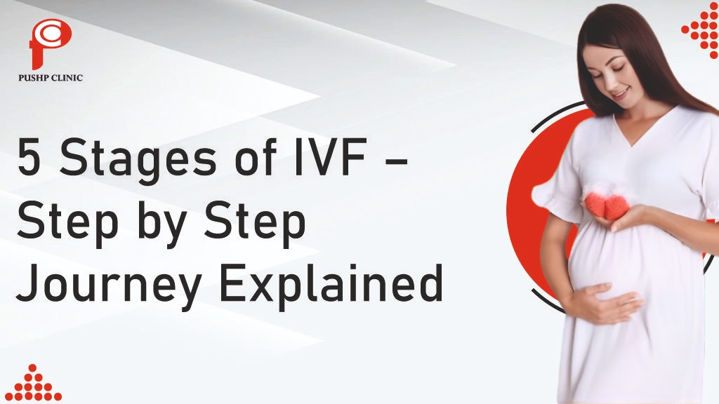 5 stages of ivf